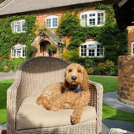 Little Woodside A Beautiful New Forest Self Contained Private Luxury Annexe New Milton Exteriör bild
