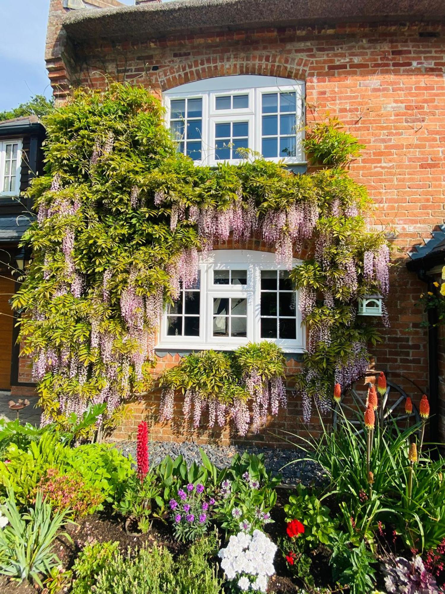 Little Woodside A Beautiful New Forest Self Contained Private Luxury Annexe New Milton Exteriör bild