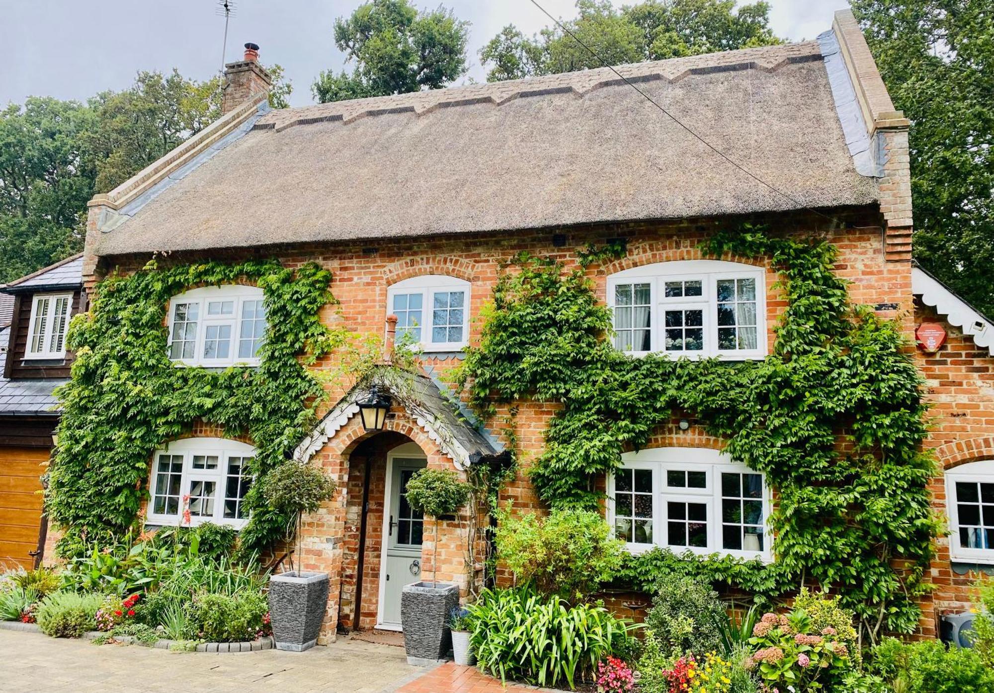 Little Woodside A Beautiful New Forest Self Contained Private Luxury Annexe New Milton Exteriör bild