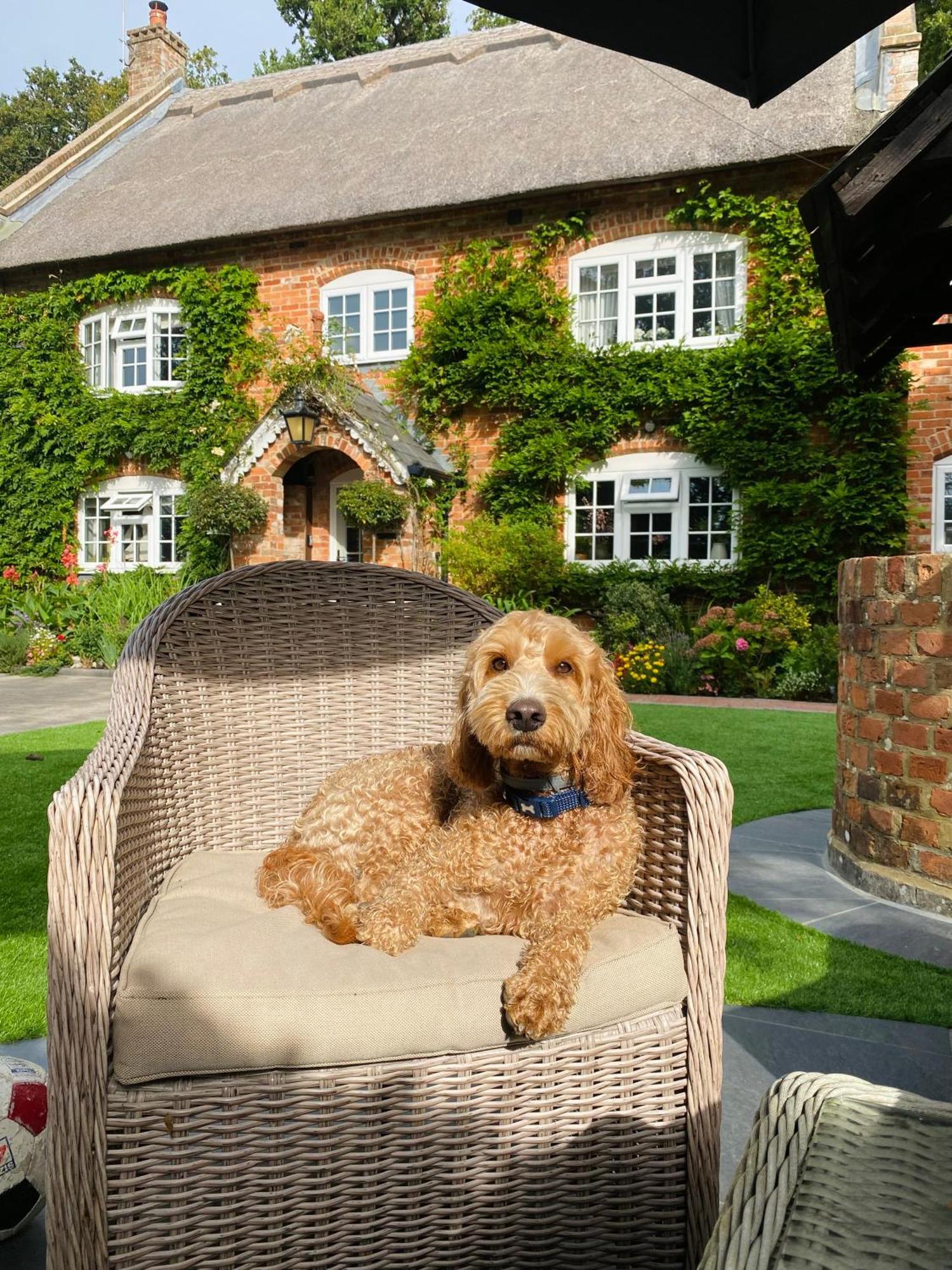 Little Woodside A Beautiful New Forest Self Contained Private Luxury Annexe New Milton Exteriör bild