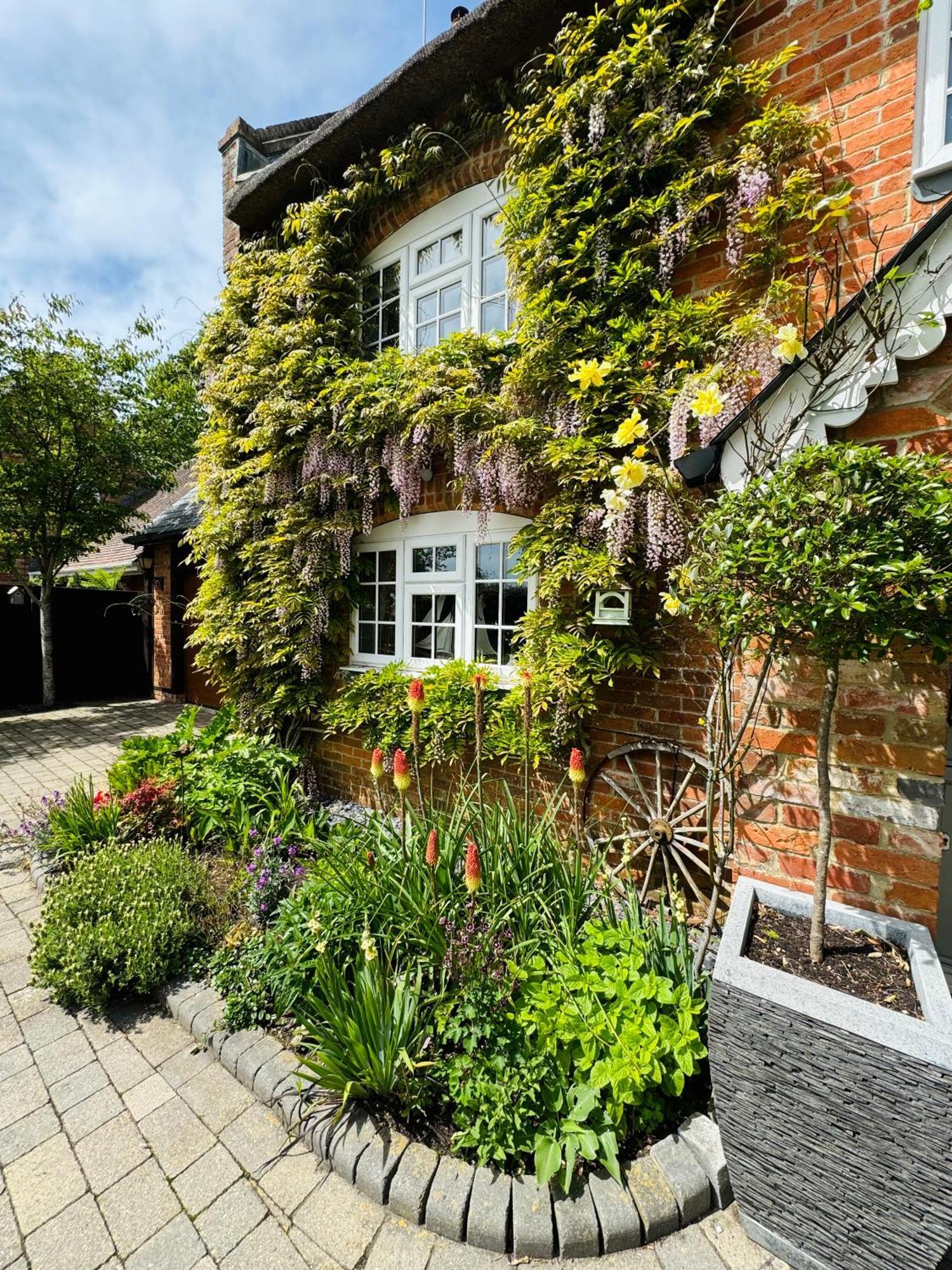 Little Woodside A Beautiful New Forest Self Contained Private Luxury Annexe New Milton Exteriör bild