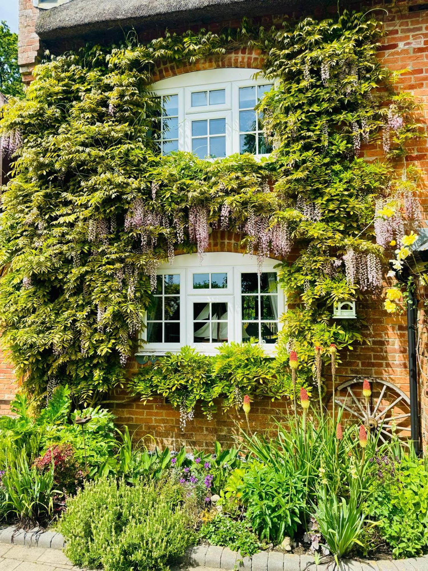 Little Woodside A Beautiful New Forest Self Contained Private Luxury Annexe New Milton Exteriör bild
